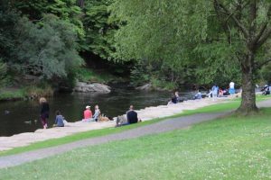 A vision for improved disability access in Warburton