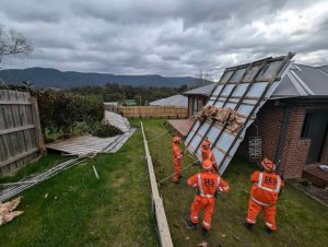 Wind whips through the Upper Yarra