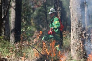 Planned burn currently underway in Wesburn
