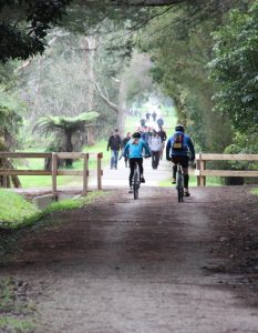 5 Things to do in Warburton