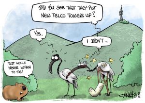 CARTOON: Fly high