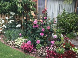 Upper Yarra gardens set for show during UYVGC Open Weekend