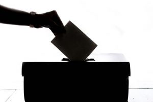 Council elections ballot packs mailed