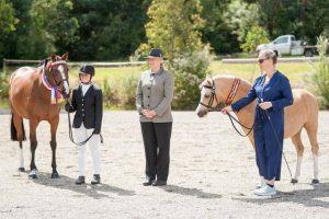 Horse Talk