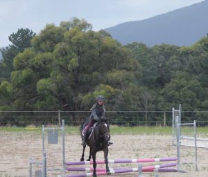 Horse Talk
