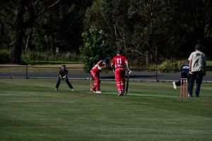 One win, two losses for Lusatia Park
