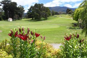 Ladies’ golfers descend on Warburton Golf Club for special event
