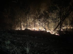 Find out more about bushfire risk mitigation in Yarra Junction