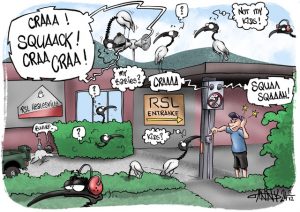 CARTOON: Birds sound speaker at Healesville RSL