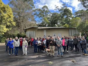 Discussions ramp up for Cerini Centre social housing project