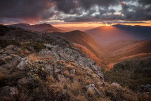 The Great Forest National Park: A Gateway for Families, Adventure and Conservation