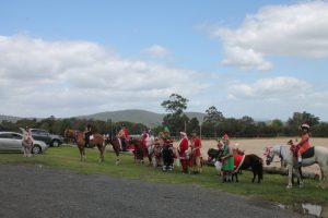 Horse Talk