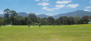 Lusatia Park look to bounce back