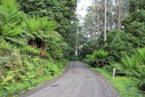 Road tripping through the Ranges