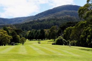 Top results at Warburton Golf Club