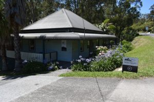 Alarming number of pets presenting to vets with snake bites in the Upper Yarra