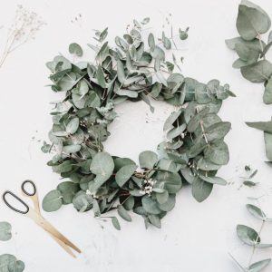 Have a green, green Christmas