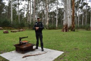Be campfire safe this upcoming long weekend