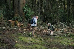 Forest management dominated headlines in 2024