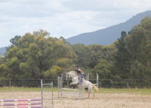 Horse Talk