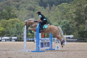 Horse Talk