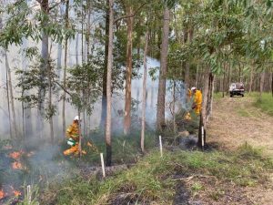 Fire risk reduced but still above target in Port Phillip region