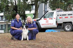 Make sure your pets are part of the plan