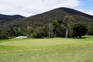 Massive field for Australia Day at Warburton Golf Club