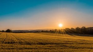Rabobank survey reveals dip in farmer confidence towards end of 2024