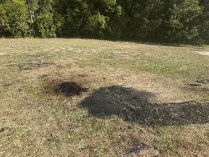 Dismay after Wesburn dog off-leash area left covered in debris