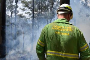 26 vehicles responding to Upper Yarra fire