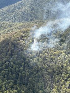 Over 60 firefighters deployed to forest fire in Yarra Ranges National Park
