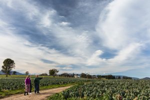 Rural Advisory Committee seeking new members