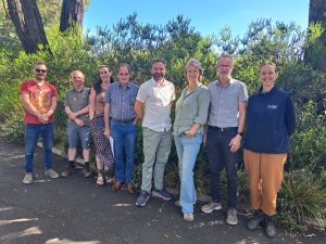 Repowering the idea of sustainability, renewables