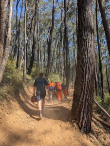 Upper Yarra SES assist Ambulance Victoria in suspected snake bite