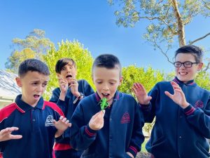 A Bug-Tastic Learning Adventure for Warburton Primary’s Budding Scientists