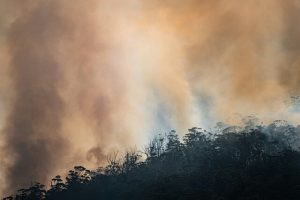 Fire in Yarra Ranges National Park near Reefton still not under control