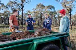 Firewood collection areas open in state forests on 1 March