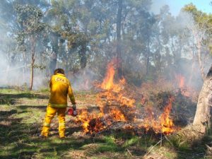 816 hectares of planned burns in Gladysdale and Gilderoy to be ignited within the next 24 hours