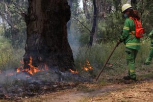 Planned burn one kilometre east of McMahon’s Creek to be ignited anytime in the next 24 hours