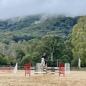 Horse Talk