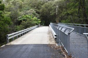 Works to start soon at the Redwood Forest