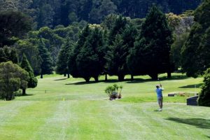 Michelle Jordon takes top score in the woman’s at Warburton Golf Club