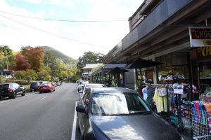 Visitor paid parking in Warburton could reap rewards but residents remain concerned