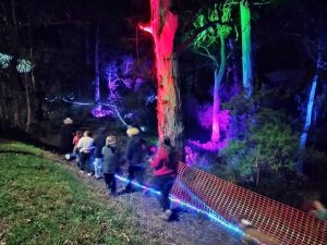 Millgrove’s spectacular lighting event on again in 2025