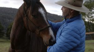 The Healing: a unique and moving film about horses and veterans is showing at Warburton Arts Centre