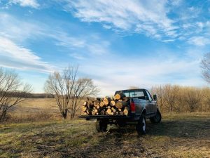 Firewood collection areas open in state forests