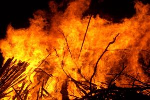 Fire engulfs Glenbrae Equestrian Centre in tragic loss