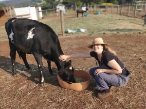 Crucial grant keeps animal rescue afloat