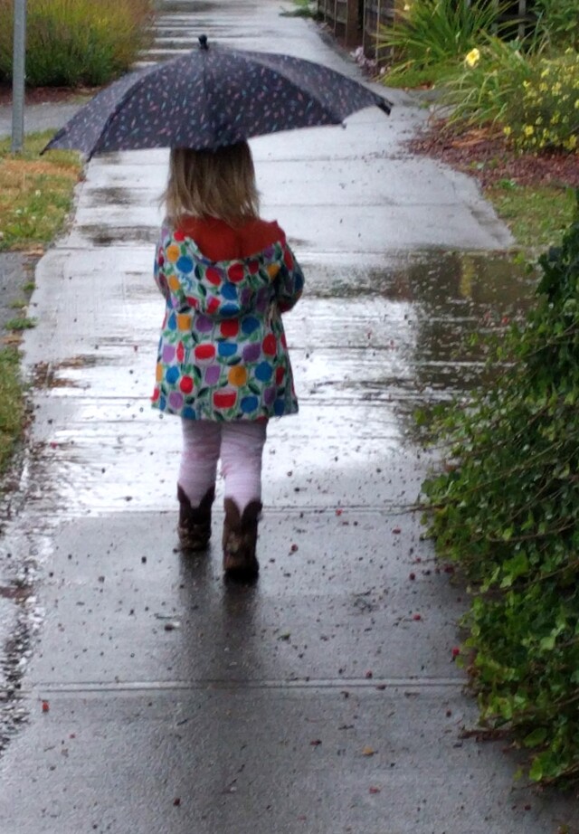 rain_433140_01.jpg